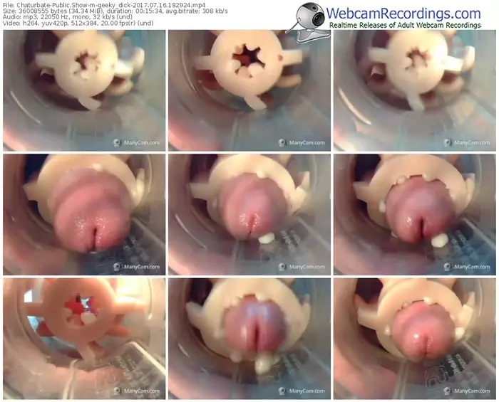 chaturbate-geeky_dick-webcam-show-07_16_2017-18_29_24