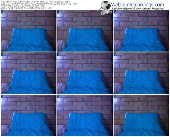 chaturbate-harley_dms-webcam-show-07_16_2017-11_55_04