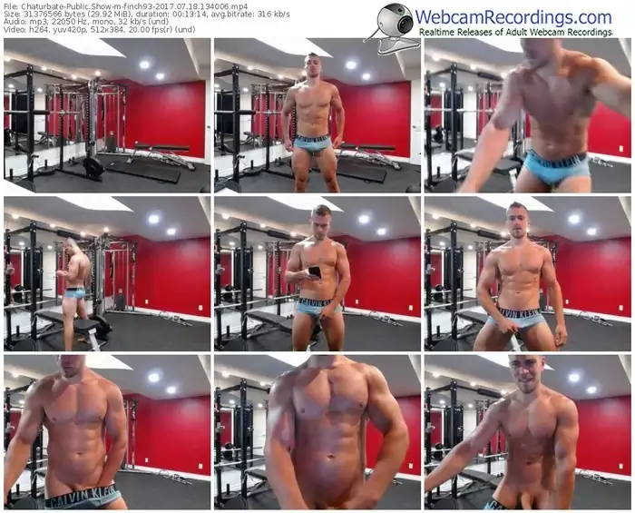 chaturbate-finch93-webcam-show-07_18_2017-13_40_06