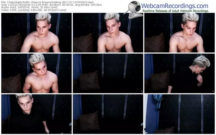 chaturbate-brawnyhedwig-webcam-show-07_19_2017-09_30_23