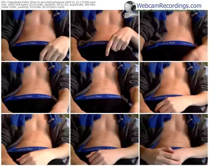 chaturbate-excusemypleasure-webcam-show-01_10_2019-17_19_66