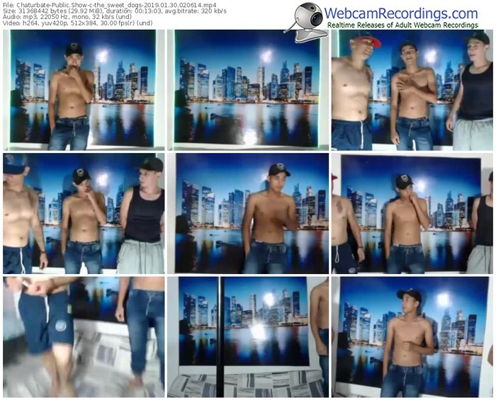 chaturbate-the_sweet_dogs-webcam-show-01_30_2019-02_06_14