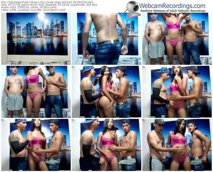 chaturbate-the_sweet_dogs-webcam-show-01_30_2019-04_41_59