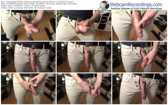 chaturbate-beautiful_penis-webcam-show-11_25_2019-00_47_19