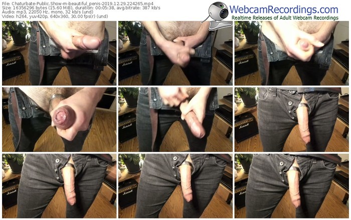 chaturbate-beautiful_penis-webcam-show-12_29_2019-22_42_65