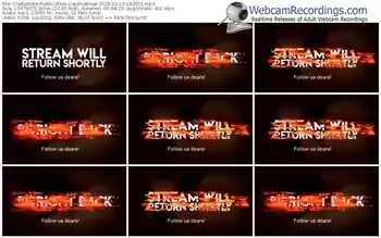 chaturbate-wilmablear-webcam-show-02_16_2020-18_20_51