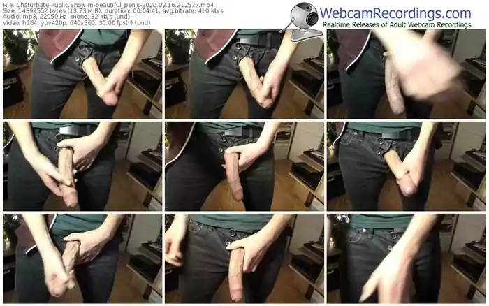 chaturbate-beautiful_penis-webcam-show-02_16_2020-21_25_77