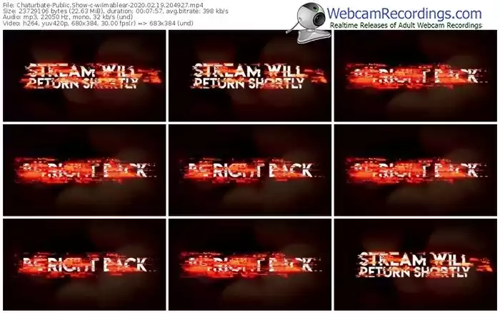 chaturbate-wilmablear-webcam-show-02_19_2020-20_49_27