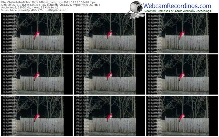 chaturbate-those_darn_frigs-webcam-show-03_28_2021-10_04_28