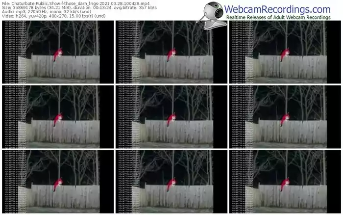 chaturbate-those_darn_frigs-webcam-show-03_28_2021-10_04_28