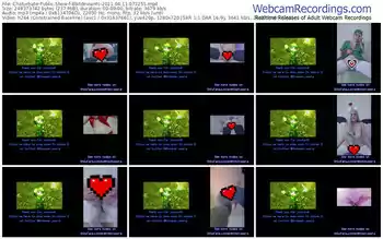 chaturbate-8bitdeviants-04_11_2021-07_32_55
