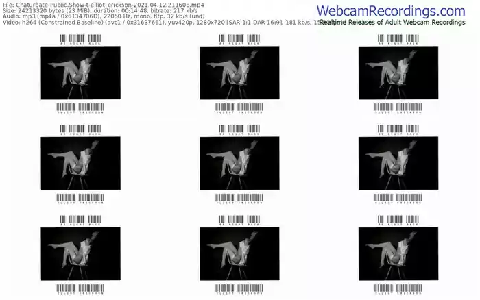 chaturbate-elliot_erickson-04_12_2021-21_16_08