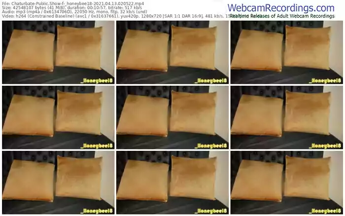 chaturbate-_honeybee18-04_13_2021-02_05_22