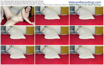 chaturbate-aswildorange-04_13_2021-04_37_30