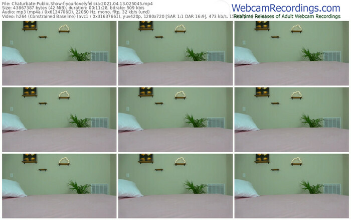 chaturbate-yourlovelyfelicia-04_13_2021-02_50_45