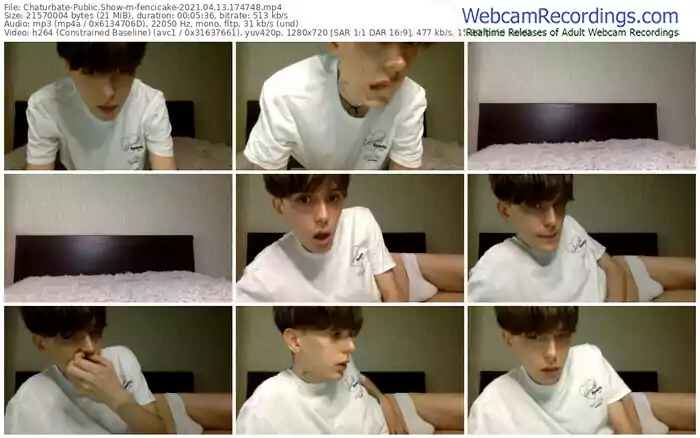 chaturbate-fencicake-04_13_2021-17_47_48