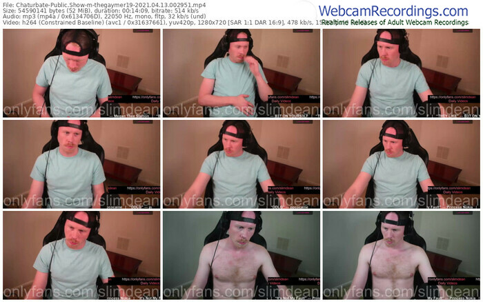 chaturbate-thegaymer19-04_13_2021-00_29_51