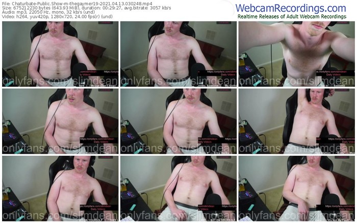 chaturbate-thegaymer19-04_13_2021-03_02_48