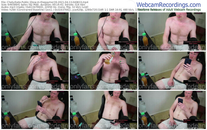 chaturbate-thegaymer19-04_13_2021-04_08_33