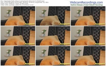 chaturbate-_honeybee18-04_15_2021-19_52_05