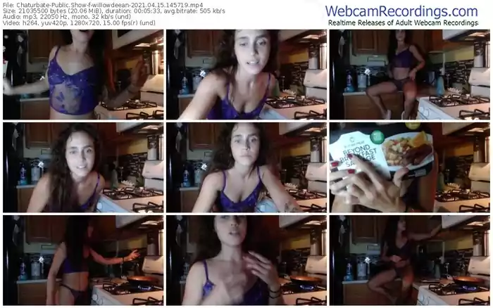 chaturbate-willowdeean-04_15_2021-14_57_19