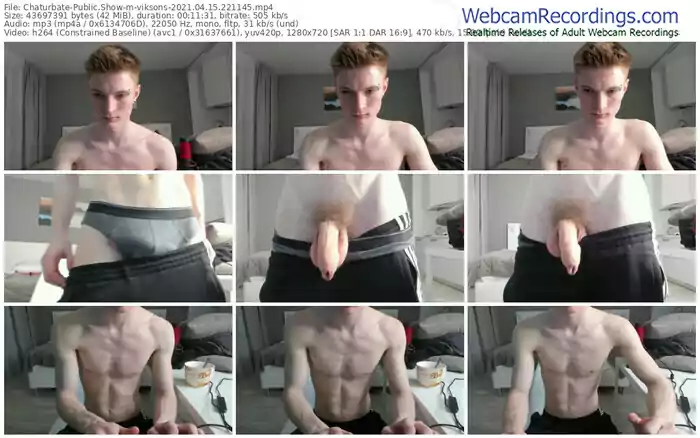 chaturbate-viksons-04_15_2021-22_11_45