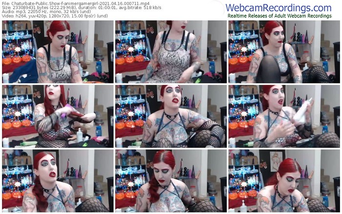 chaturbate-animergamergirl-04_16_2021-00_07_11