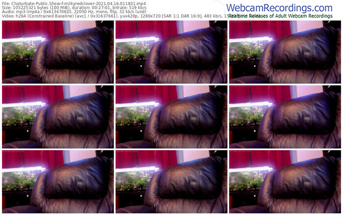 chaturbate-milkyredclover-04_16_2021-01_18_31