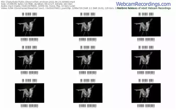 chaturbate-elliot_erickson-04_23_2021-20_59_02