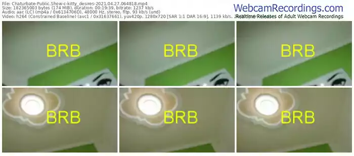 chaturbate-kitty_desires-04_27_2021-06_48_18
