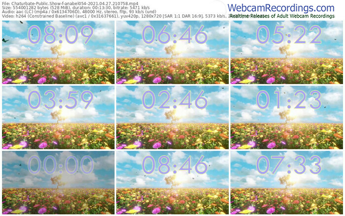 chaturbate-anabel054-04_27_2021-21_07_58