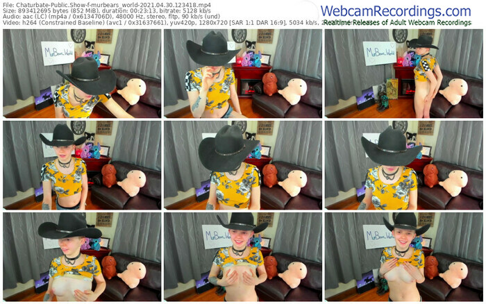 chaturbate-murbears_world-04_30_2021-12_34_18
