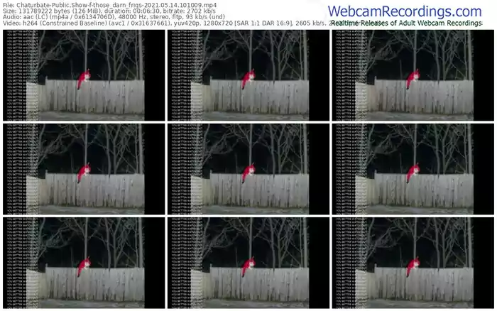 chaturbate-those_darn_frigs-05_14_2021-10_10_09