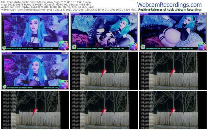chaturbate-those_darn_frigs-05_15_2021-11_34_15