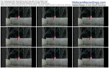 chaturbate-those_darn_frigs-05_16_2021-14_04_52