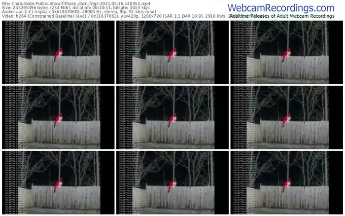 chaturbate-those_darn_frigs-05_16_2021-14_04_52