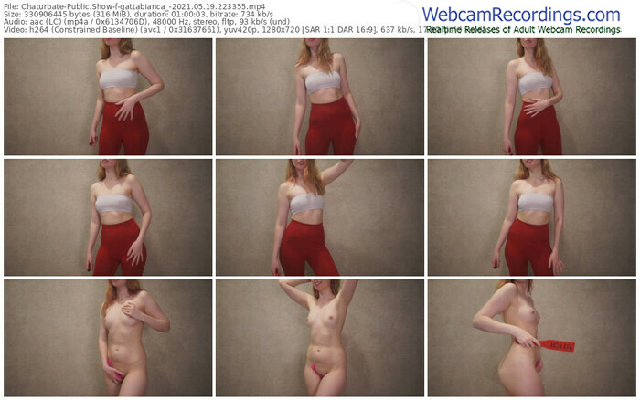 chaturbate-gattabianca_-05_19_2021-22_33_55