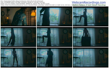 chaturbate-artejones-05_21_2021-01_14_29