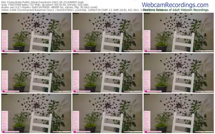 chaturbate-aveksmr-05_23_2021-04_08_07