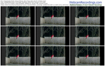chaturbate-those_darn_frigs-06_05_2021-10_54_21