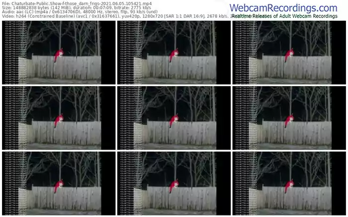 chaturbate-those_darn_frigs-06_05_2021-10_54_21