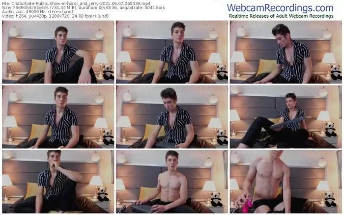 chaturbate-harol_and_jerry-06_07_2021-06_54_39