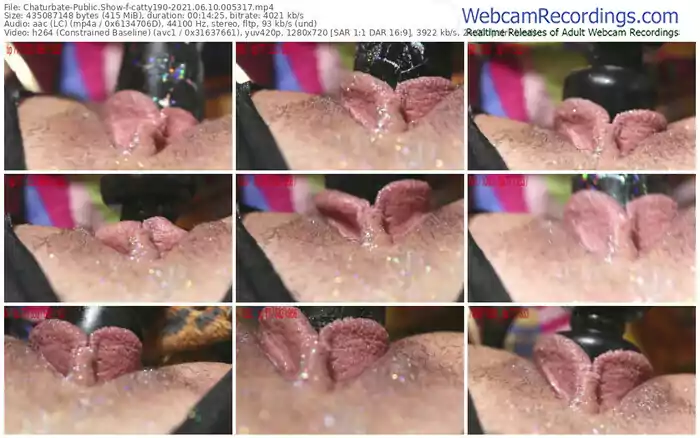 chaturbate-catty190-06_10_2021-00_53_17