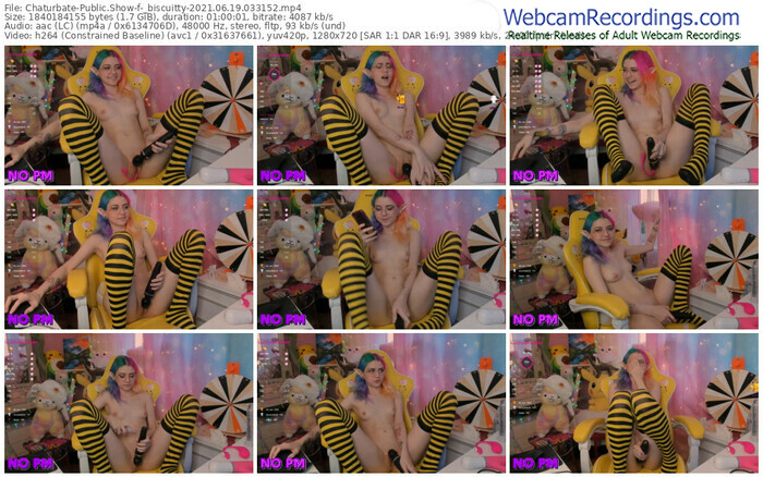 chaturbate-_biscuitty-06_19_2021-03_31_52