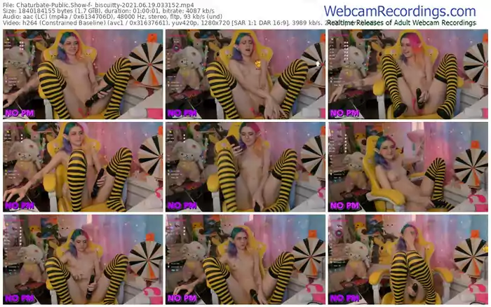 chaturbate-_biscuitty-06_19_2021-03_31_52