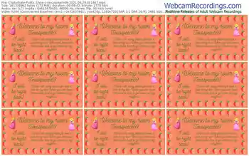 chaturbate-texaspeach69-06_29_2021-01_18_47