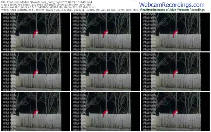 chaturbate-those_darn_frigs-07_24_2021-16_16_49