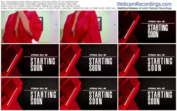 chaturbate-bianca_and_max-07_25_2021-21_05_44