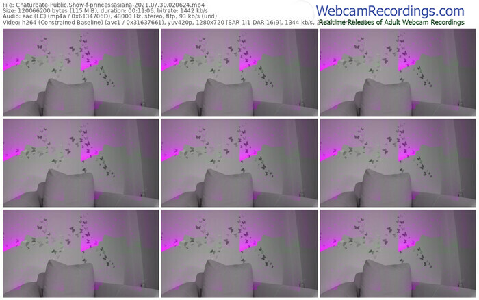 chaturbate-princessasiana-07_30_2021-02_06_24
