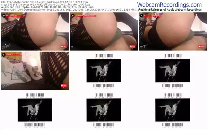 chaturbate-elliot_erickson-07_31_2021-01_02_21